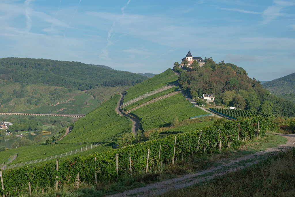 1 Eifel-Mosel-09---2018DSC_2701-1-Kopie.jpg - Super Übernachtungsplatz in der Nähe von Enkirch